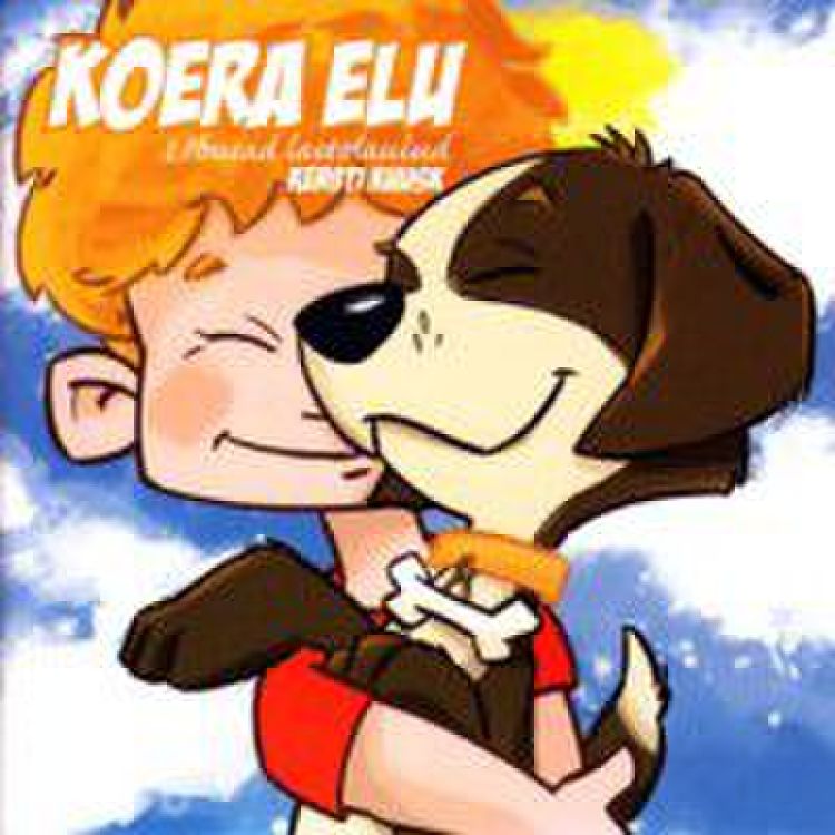 Koera elu