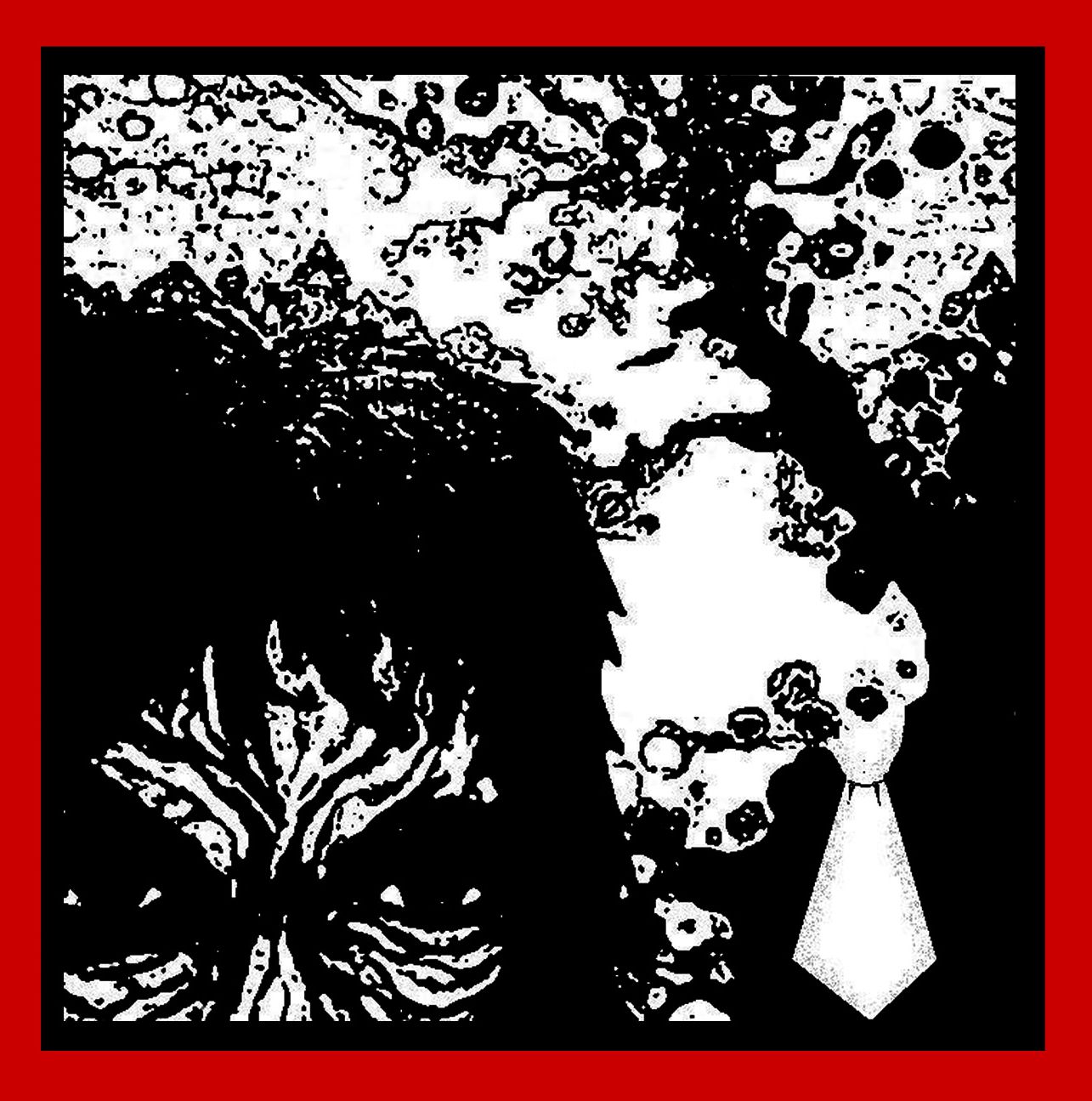 White Tie Black Noise